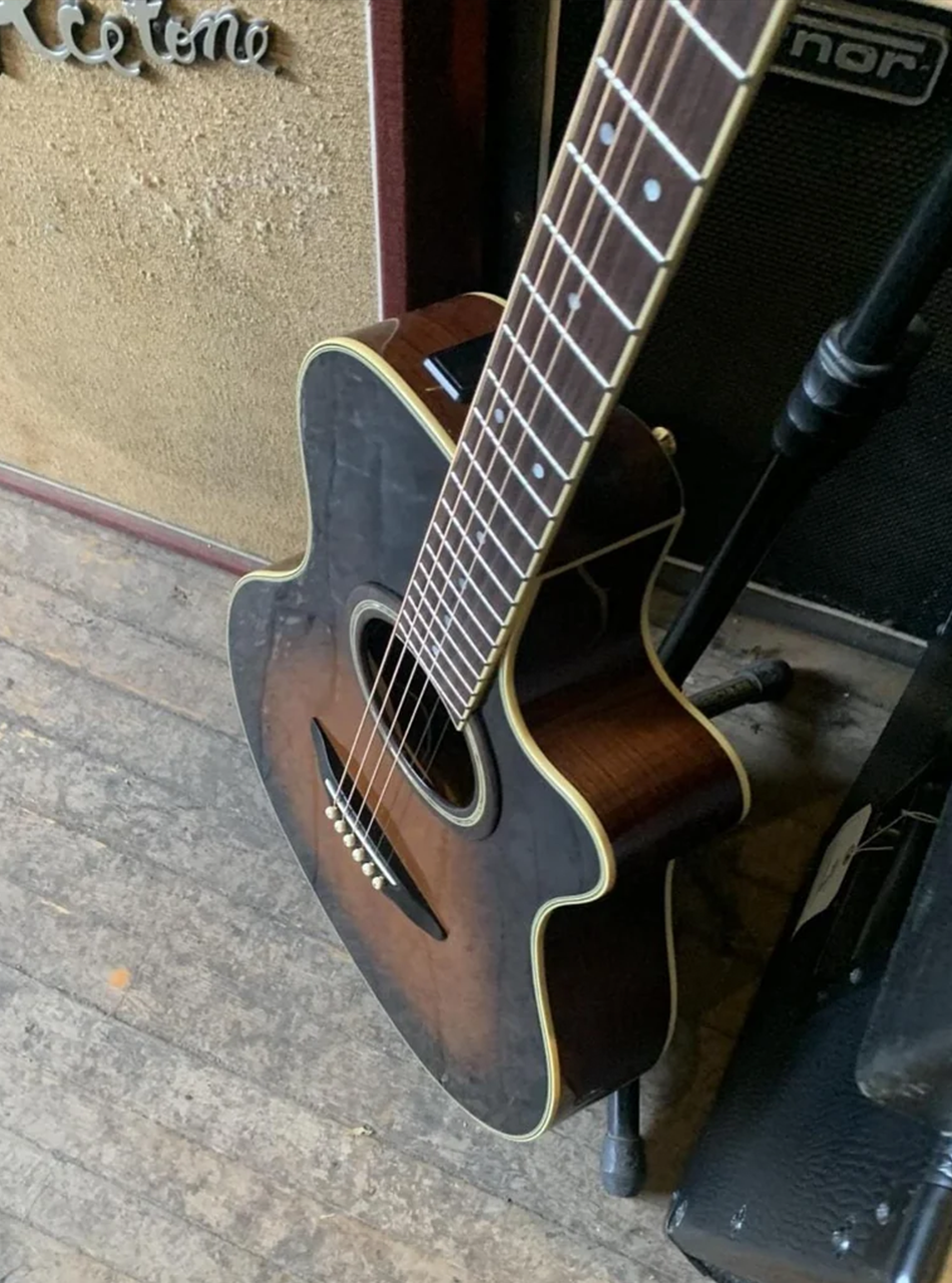 Yamaha APX-8A