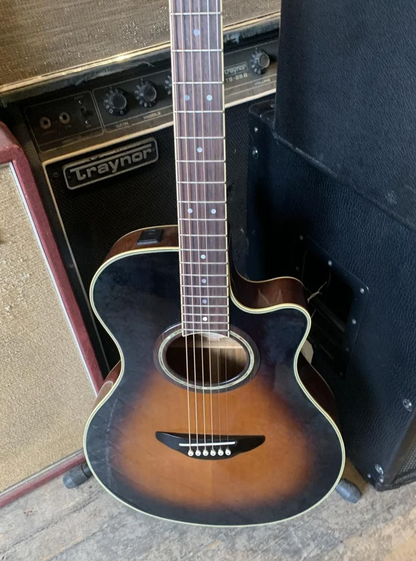 Yamaha APX-8A