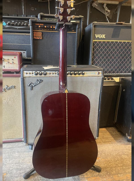Washburn D-12LHN