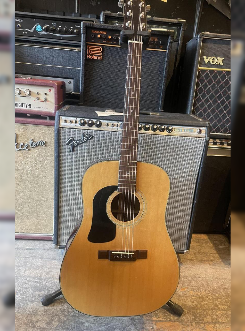 Washburn D-12LHN