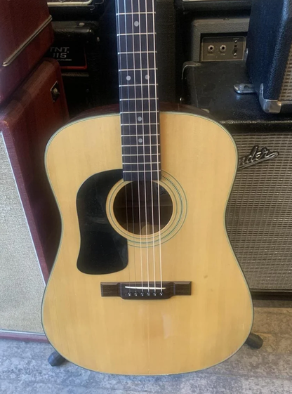 Lefty Washburn D-12LHN