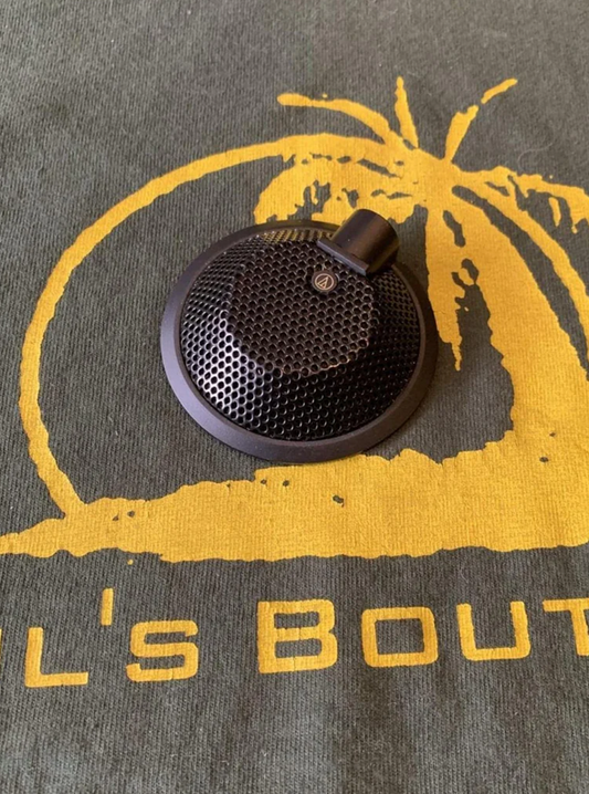 Audio-Technica AT841UG