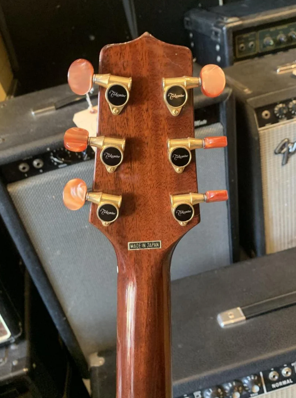 Takamine ESF-10C