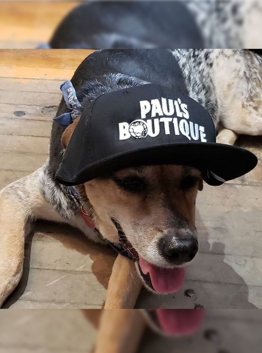 Paul's Boutique Hats