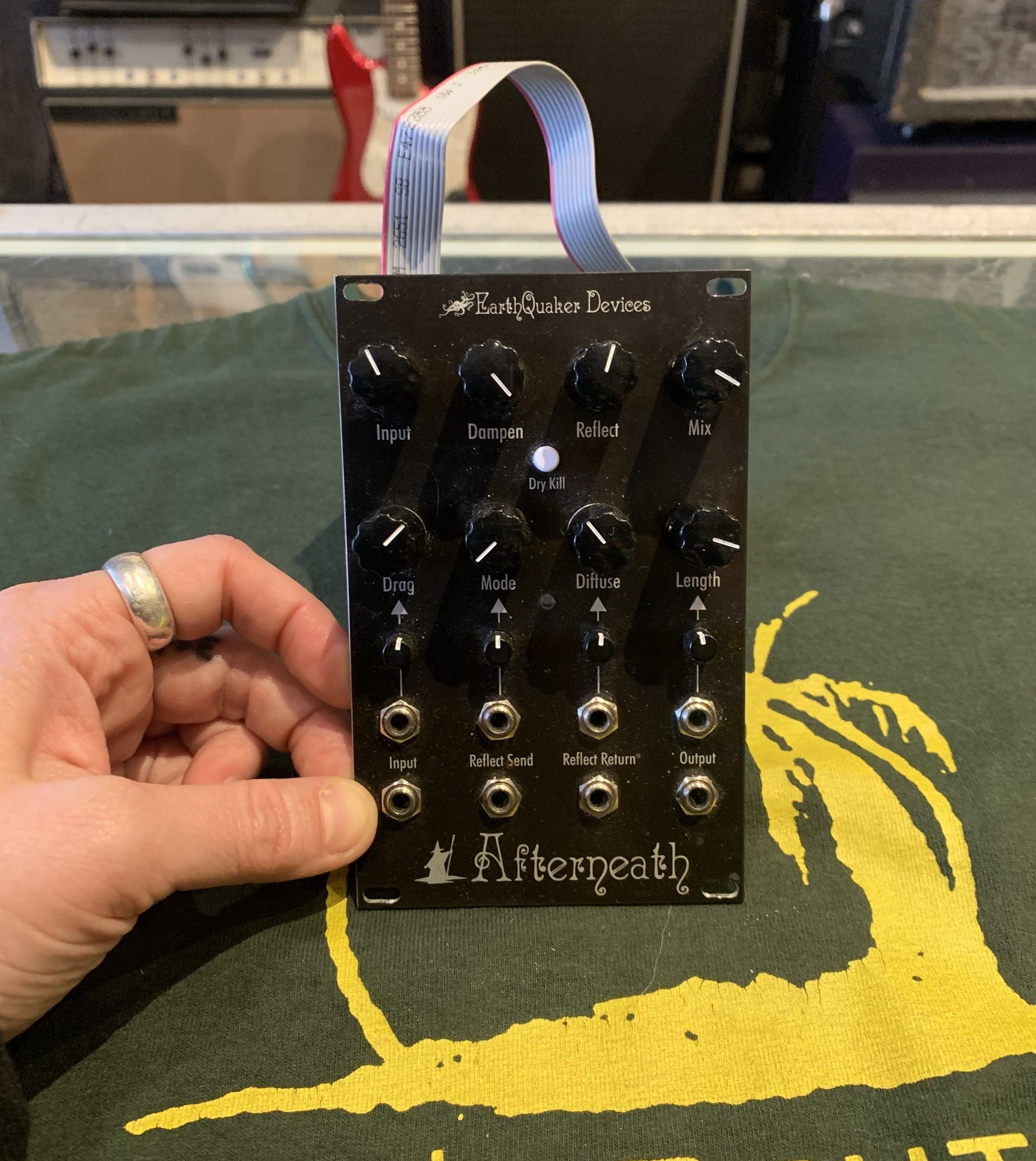 EarthQuaker Devices Afterneath Eurorack Module ユーロラック